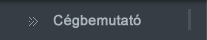 cégbemutató