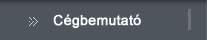 cégbemutató
